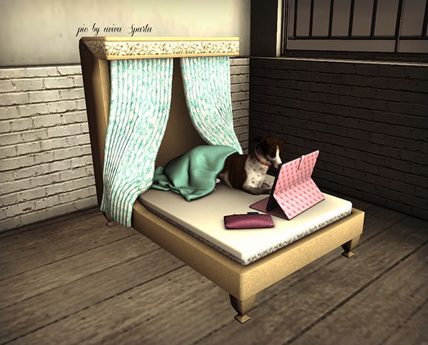 JIAN Glam Greyhounds 1. Puphora Peruser RARE