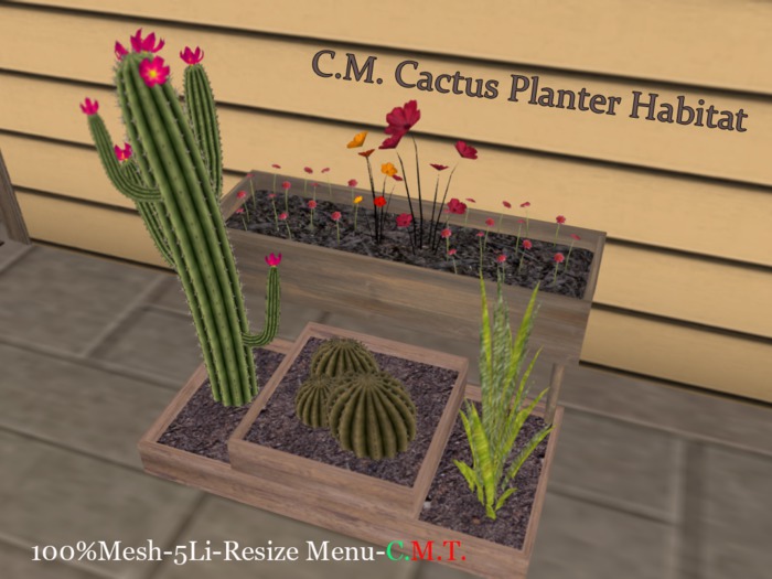 C.M. Cactus habitat -Resize