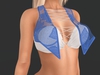 Snapshot 008