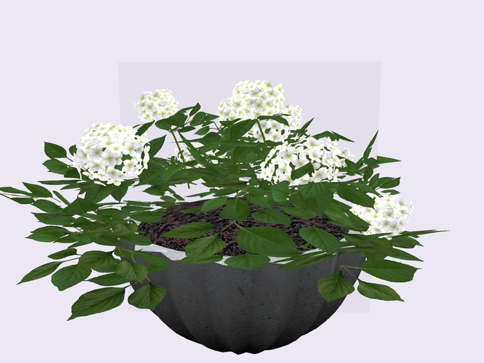 PLANTER w HYDRENGEA WHITE resizer c