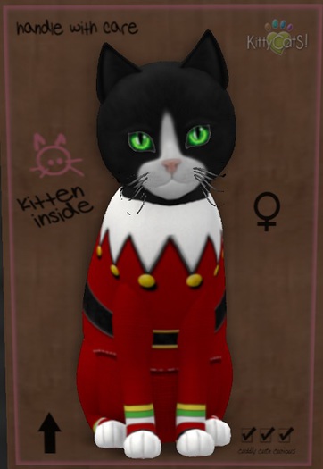 KittyCatS Box - sELFies! Misfit - petite