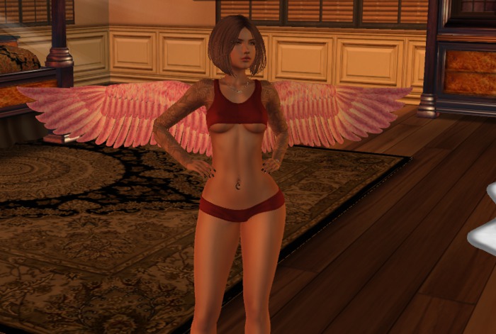 Bento Wings Fatpack Boxed (26 textures & animated)