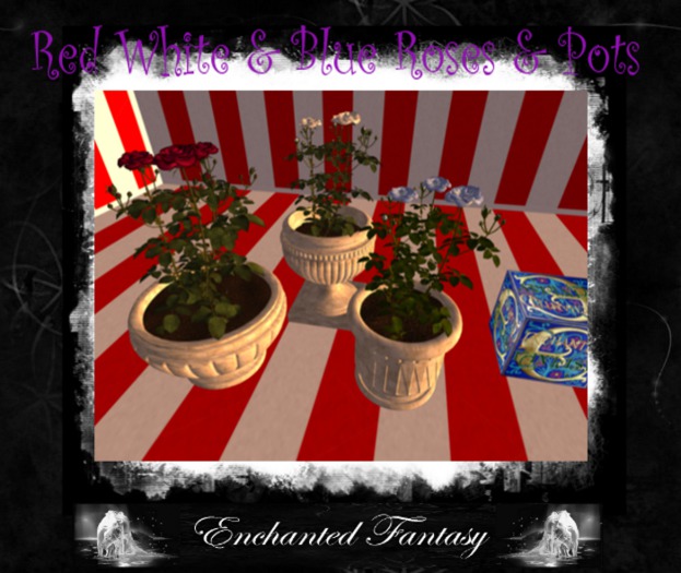 Red White & Blue Roses & Pots ~ Set of 3 (Boxed)