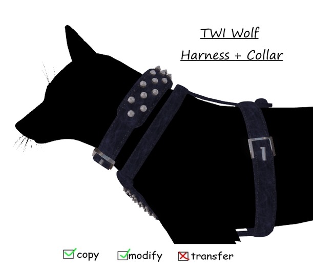 TWI wolf Harness + Collar (Blue)