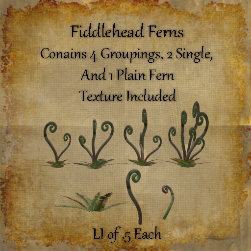 Full Perm Fern Fronds Bad Katz Fiddlehead Fern Set