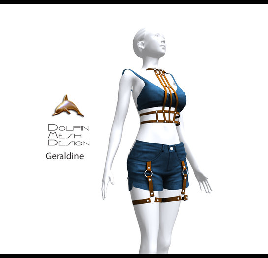 [Dolphin Design Mesh]Full permissions Geraldine