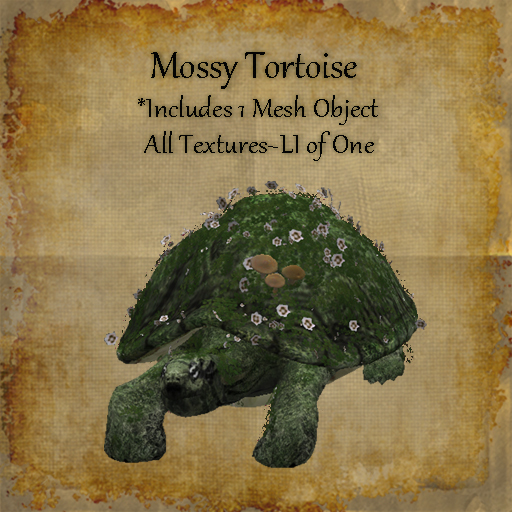 Bad Katz Mossy Tortoise