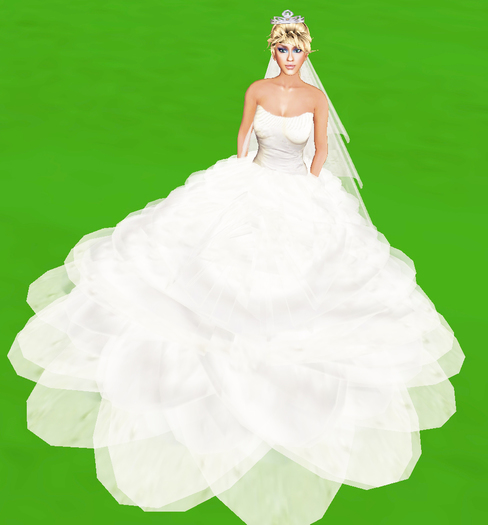 Embossed Beauty Wedding Gown