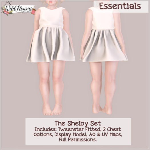 {WF} -Full Perm-  Shelby Set {Box}