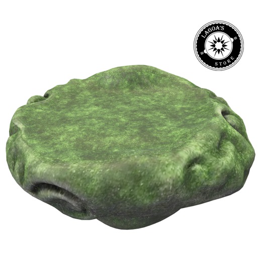 Mystic Runes Moss Island Lg RARE (REZZ)