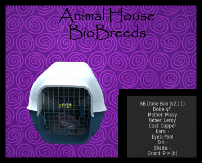 BB Dobe Box-F-Copper- Fire(b)