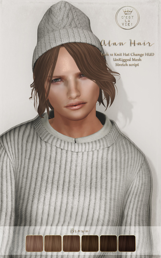 ::C'est la vie !:: Alan Hair [Brown] / 6 Hair color / 12 Knit Hat changing HUD