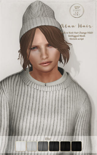::C'est la vie !:: Alan Hair [BW] / 6 Hair color / 12 Knit Hat changing HUD
