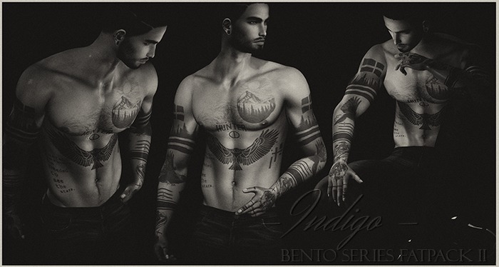 Male Bento Series II -  Fatpack 