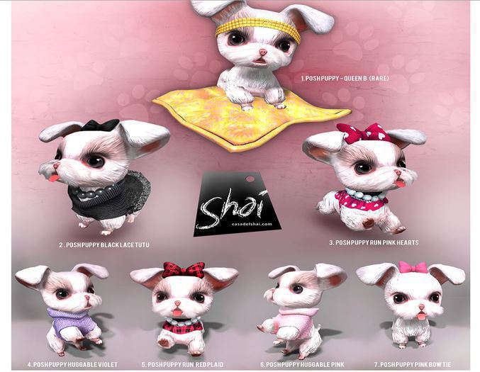 *Shai*  The Posh Puppy - Queen B RARE