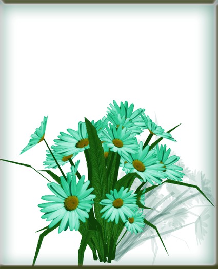 Green daisies bush for garden, as a gift or pretty table decor