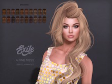 Exile - A Fine Mess - Browns