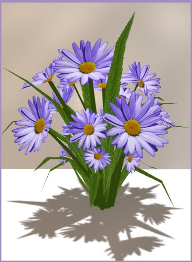 Purple daisies bush for garden, as a gift or pretty table decor