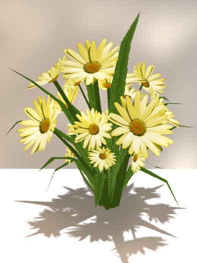 Yellow daisy bush for garden, as a gift or pretty table decorat