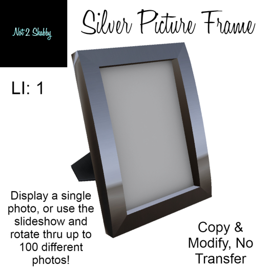 [Not 2 Shabby] Silver Picture Frame w/ Slideshow