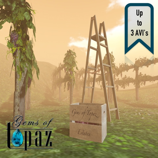 GoTC_Winery Group Cuddles Ladder (Box)