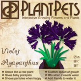 PlantPet Seed [Agapanthus *Violet*](Rare)