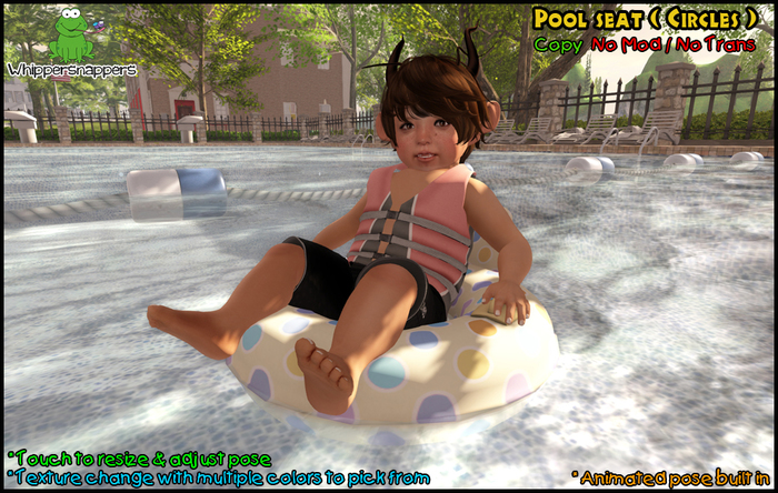 ! Whippersnappers ! - Pool seat (Circles)