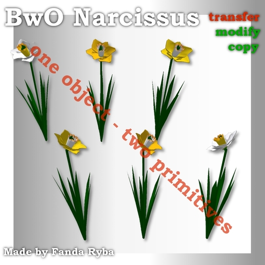 BwO narcissus set