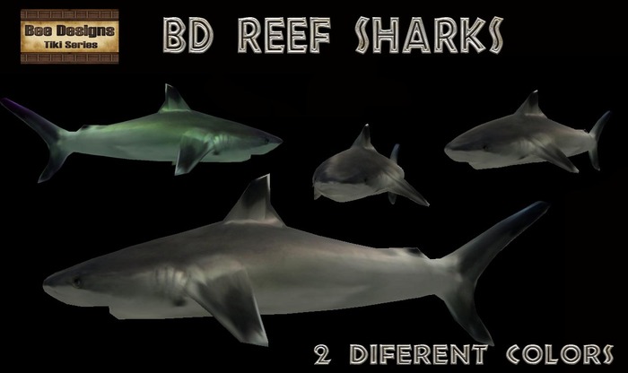 BD reef sharks transfer