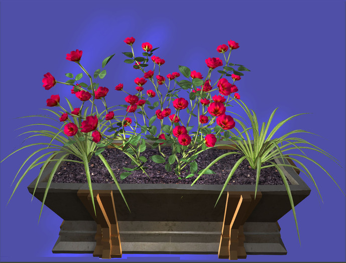 Red roses and green plants in the pot. For balcony, garden, ter