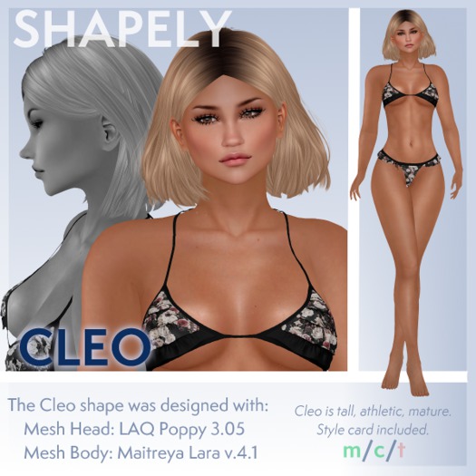 SHAPELY - CLEO - Add Me!