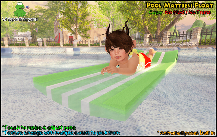 ! Whippersnappers ! - Pool mattress float