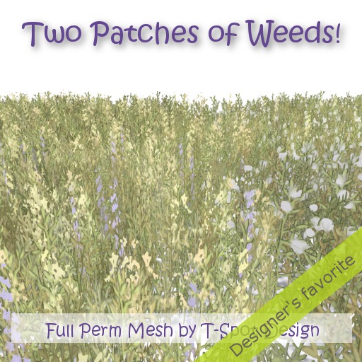 T-Spot Mesh - Two Patches of Weeds - Full Perm - LI=0.5