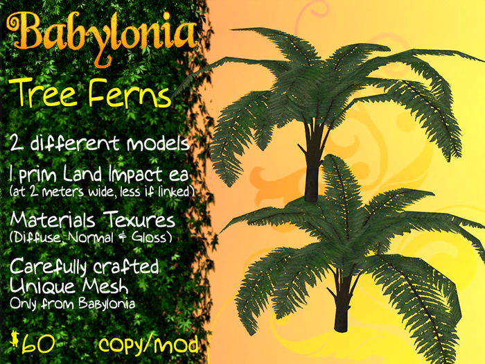 Babylonia: Tree Ferns