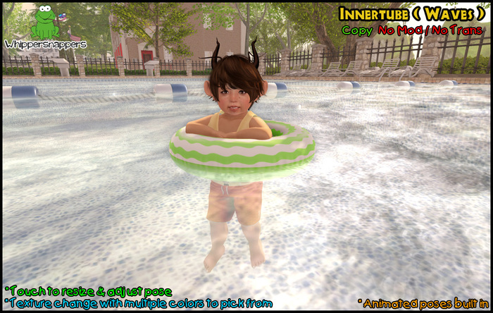 ! Whippersnappers ! - Innertube (Waves)