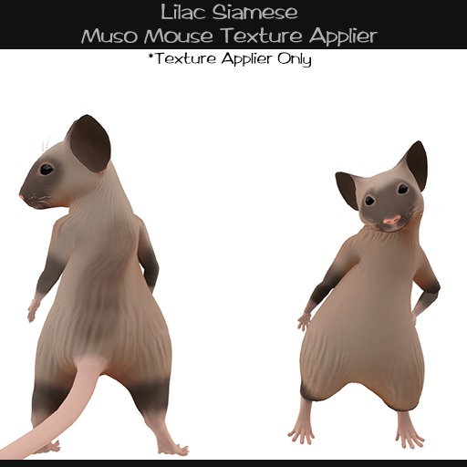 ![NS]MusoMouse> LilacSiamese  (boxed)