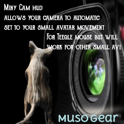 HUD Avatar Cam ( Unpack )