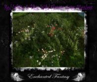 Red White & Blue "Real" Wild Flower Grass Meadow