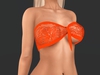 Snapshot 006