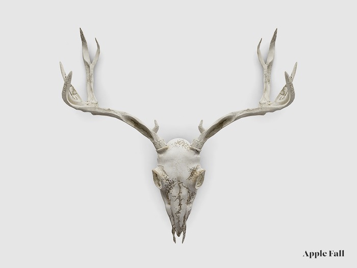 Apple Fall Deer Skull (Box)
