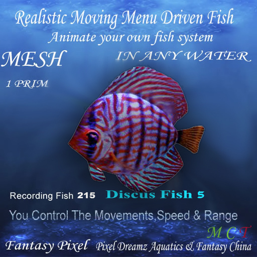 ANIMATED FISH - Recording Fish 215 - Discus Fish 5 - ANIMATED FISH