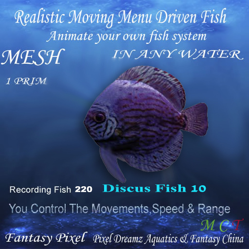 ANIMATED FISH  - Recording Fish 220 - Discus Fish 10 - ANIMATED FISH