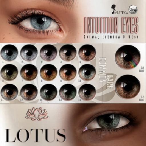 LOTUS. Intuition Eyes 06 BOX