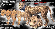 Cat Cult Inc. Jaguar Bleached (BOXED)