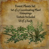 Bad Katz Forest Plant Collection