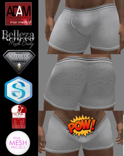 Light Gray Leather Boxers - Normal & Exposed