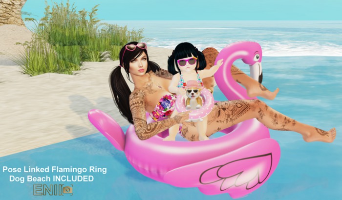 ENIIPose-Flamingo Baby