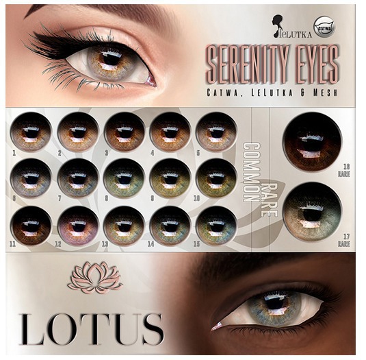 LOTUS. Serenity Eyes 09 BOX