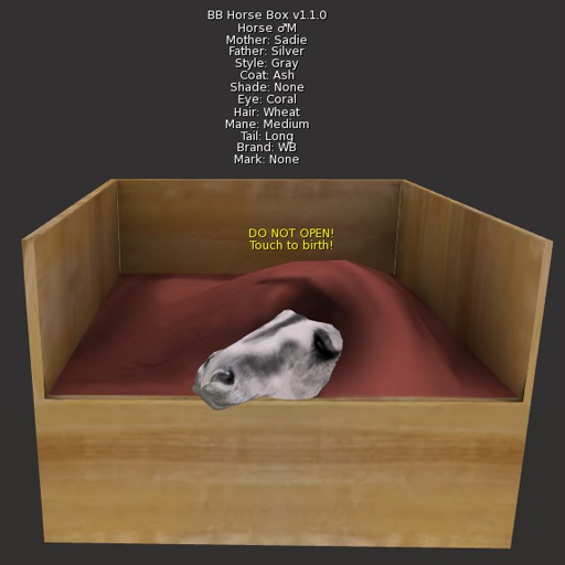 BB Horse Box