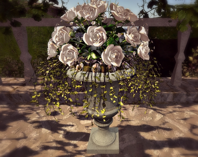 CJ Garden Planter white Roses